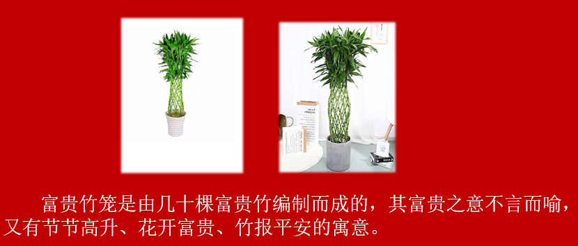 b3645bca0887deef56469575a88865a.png