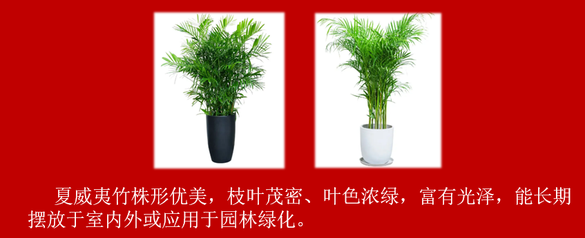 bd27dbea6dd2724bafe5f205962d379.png