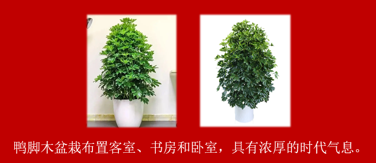 37ca1c61075507a3a5e0b015ced9f4c.png