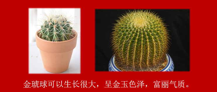 7221149fb55580fac02b20d0036b86d.png
