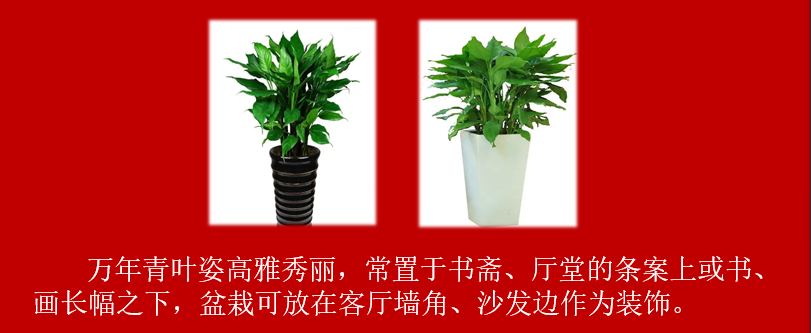 ae0f16ab2ad9b6a2c777bc29d786f90.png
