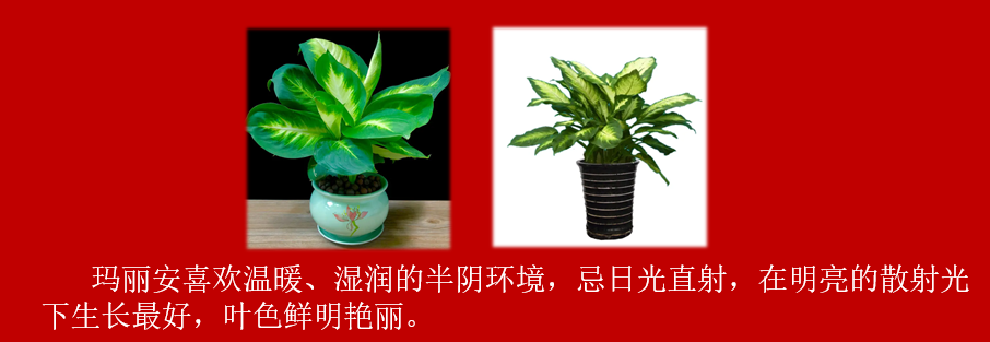 45a8c013a0546d0fcf5e0904329251b.png