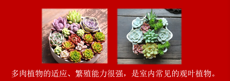 2b08cb4182b56add4ce9222177be606.png