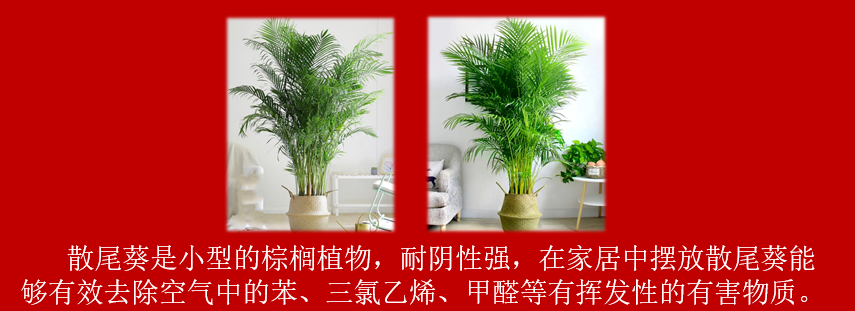 c37d28771cb5a5eba1f674b211622f7.png