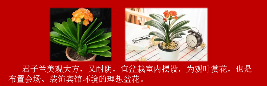 aa803e88222d44e809ae3b80f8fc424.png