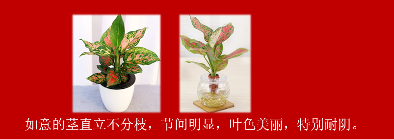 846d21bdb8a97cbb66ffbbf35cc68f2.png