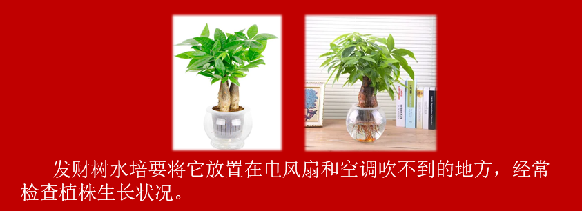 159956f5e0fb6aef4d15a9ef149aa00.png